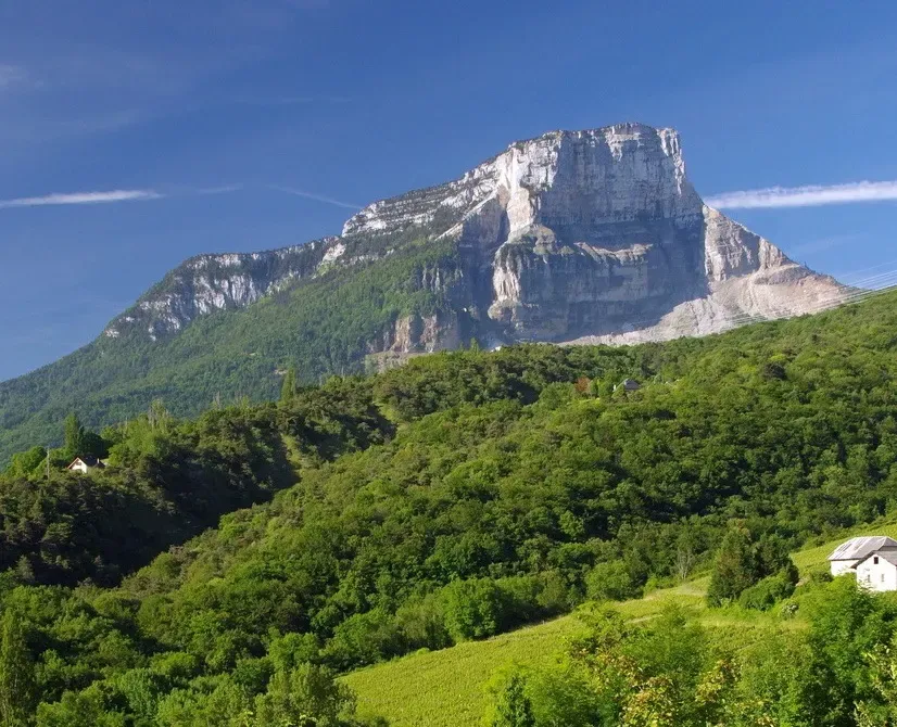 Collines boisées en France