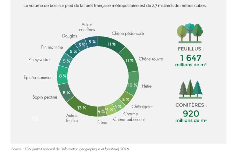 Qu'en esttil du prix du cêne en 2021