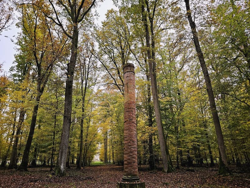 le-gfi-france-valley-patrimoine-enrichit-son-portefeuille-forestier